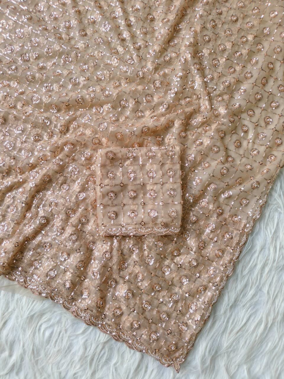 Bollywood Trending Butterfly Net Saree with Sequins Brits Work & Arco Border – Running Blouse
