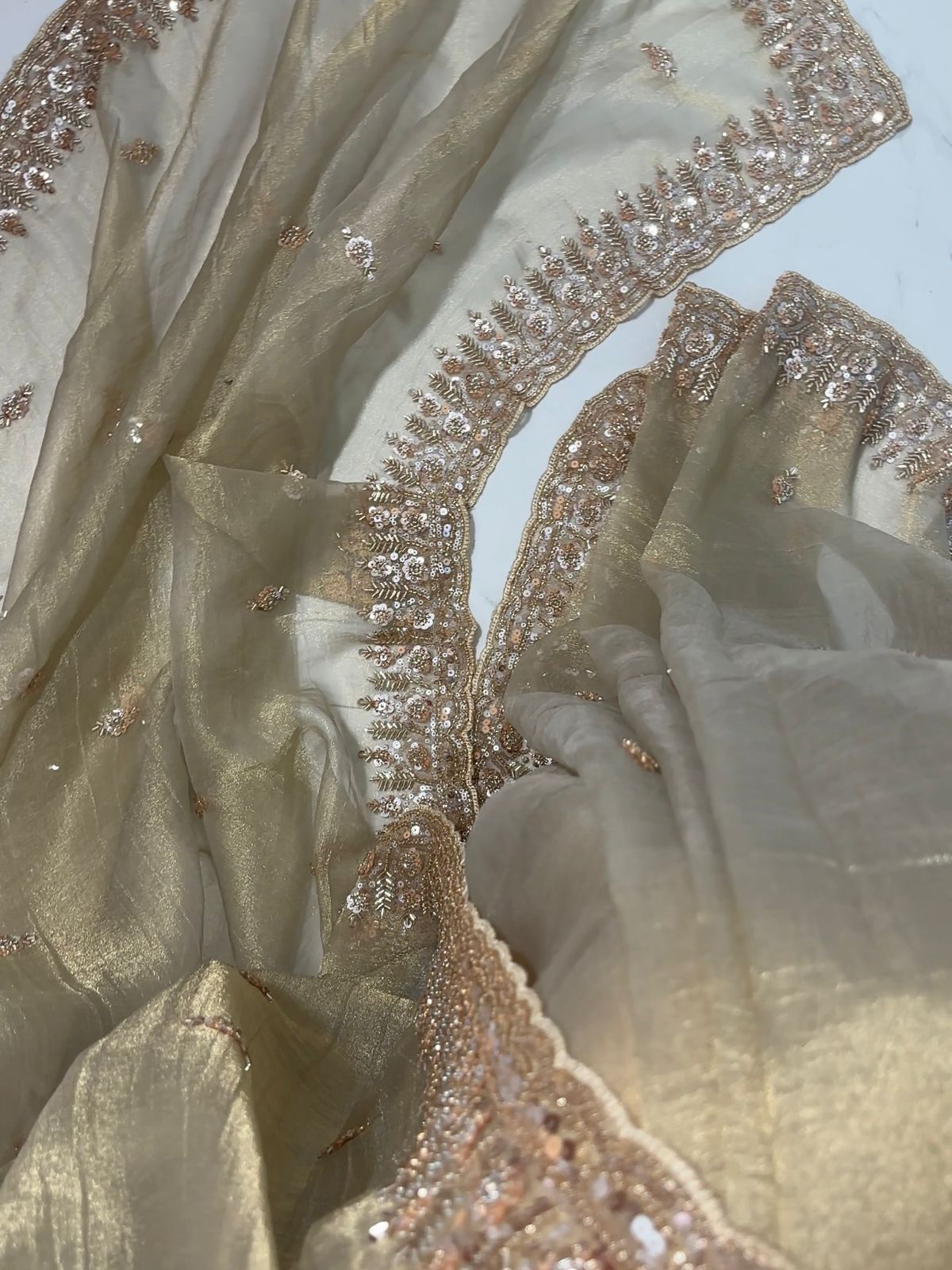 Beige Tissue Silk Saree with Sequins, Cutdana & Bead Work – Border Blouse