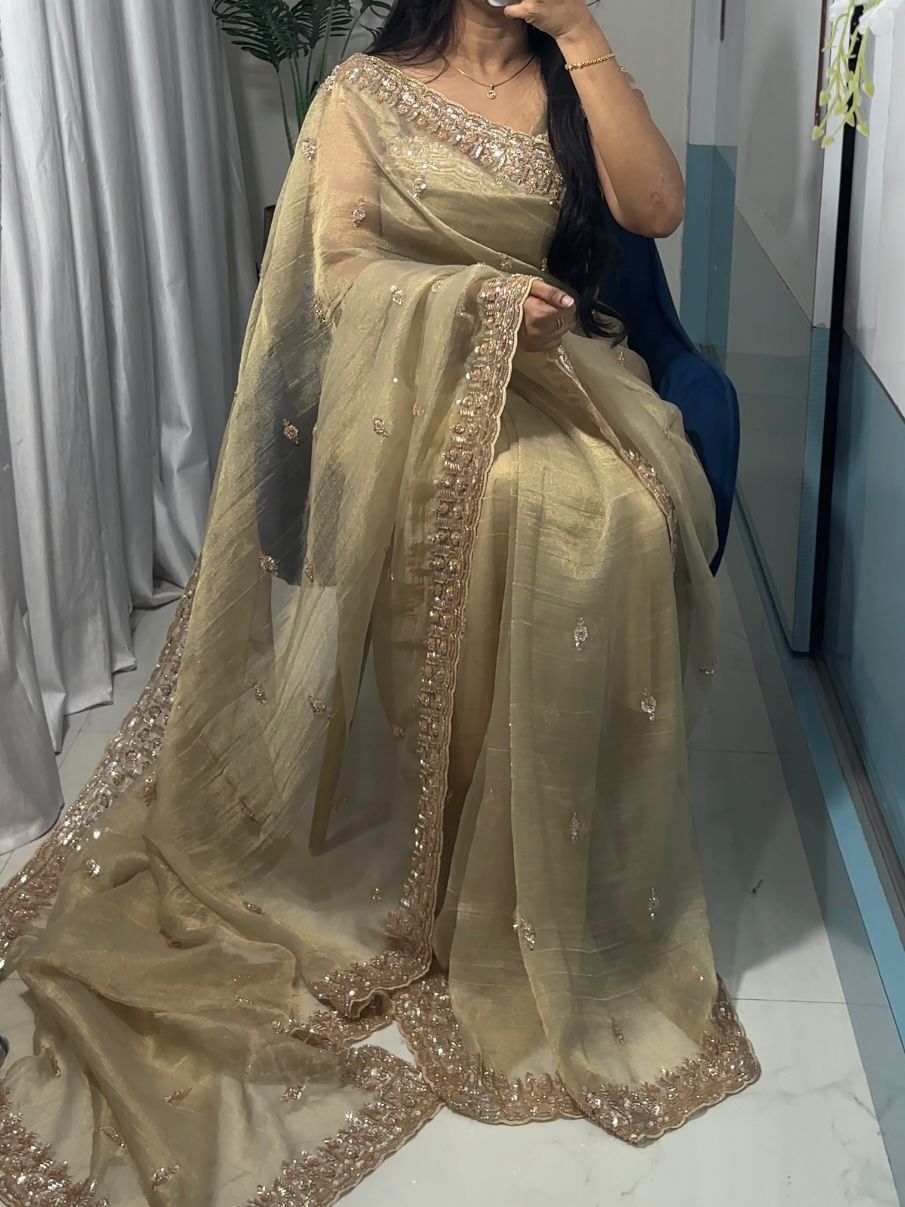Beige Tissue Silk Saree with Sequins, Cutdana & Bead Work – Border Blouse